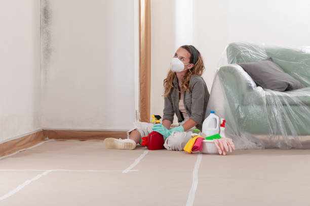 Reliable Mold Removal contractor in Clearwater Beach, FL by WQB Mold Removal